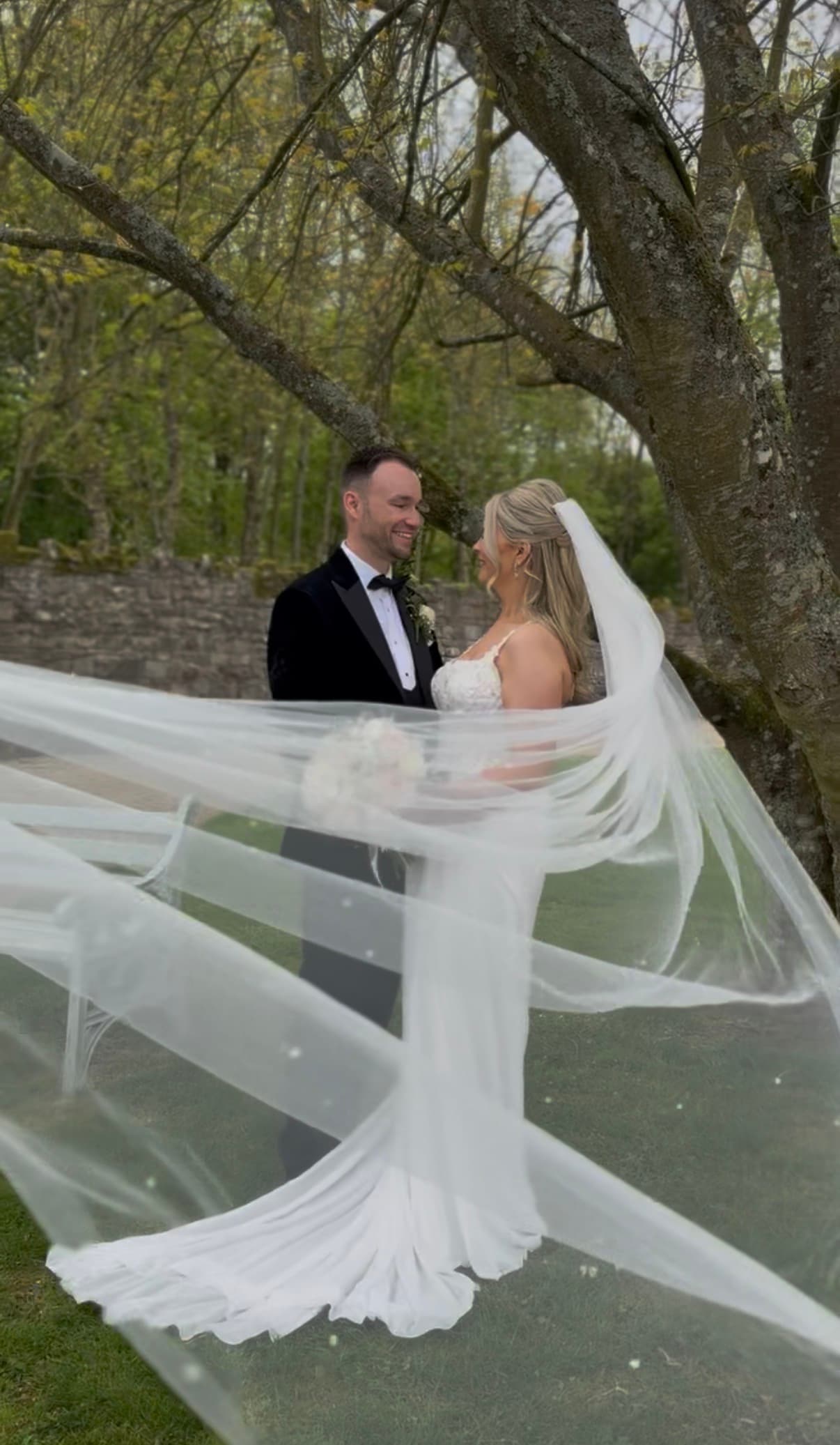 Veil in the Wind